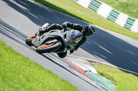 Lower Group Silver_Grey Bikes